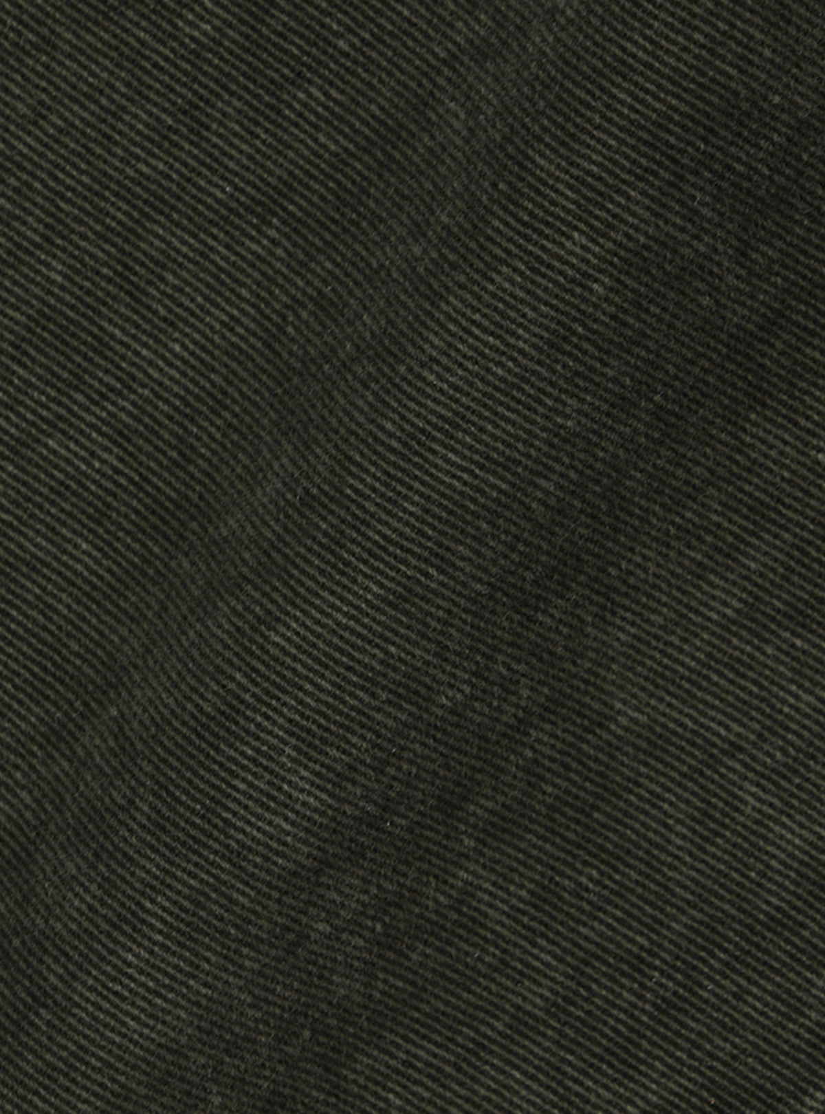 Shadow LW Shorts