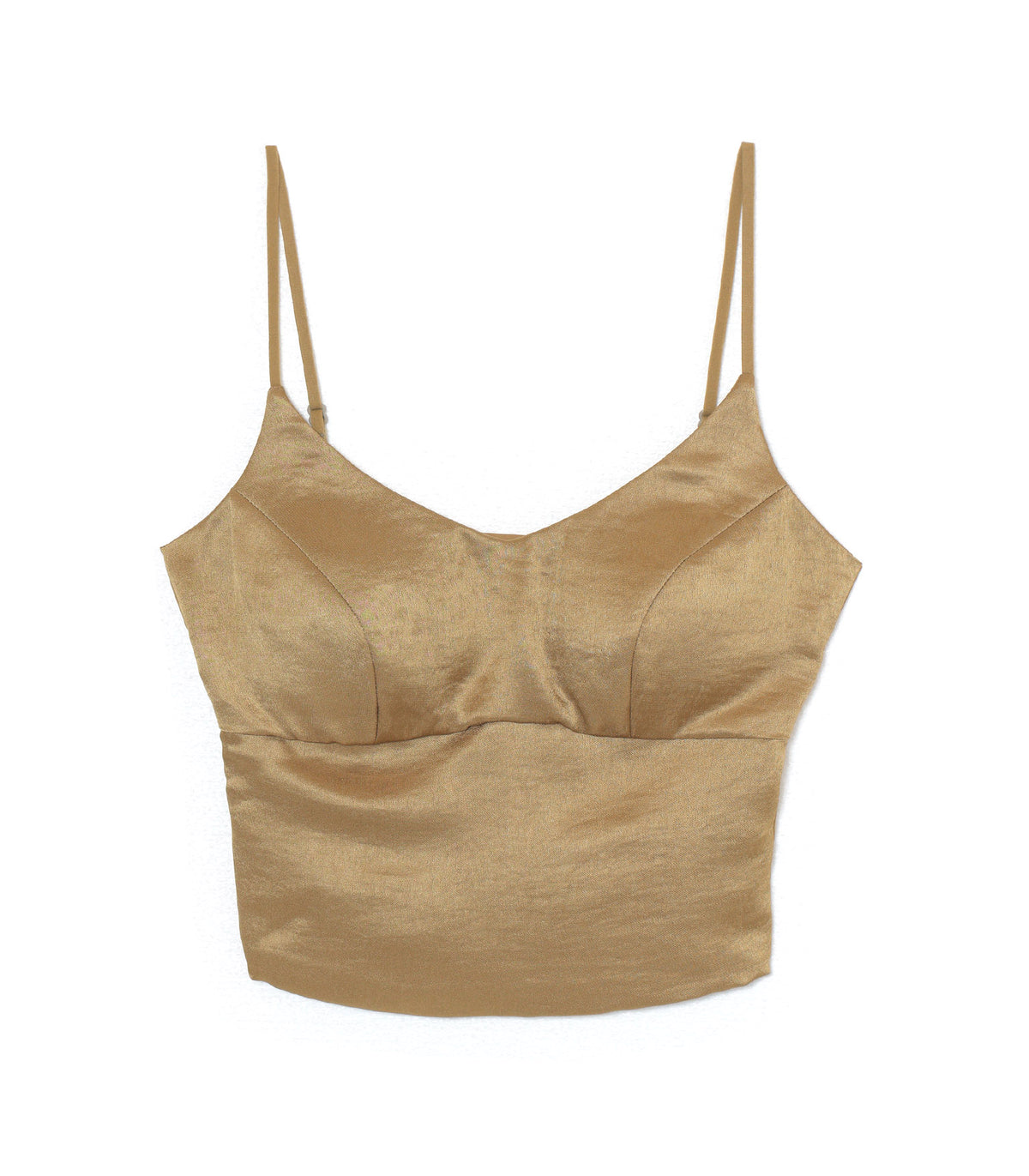 Seam Panel Satin Bustier