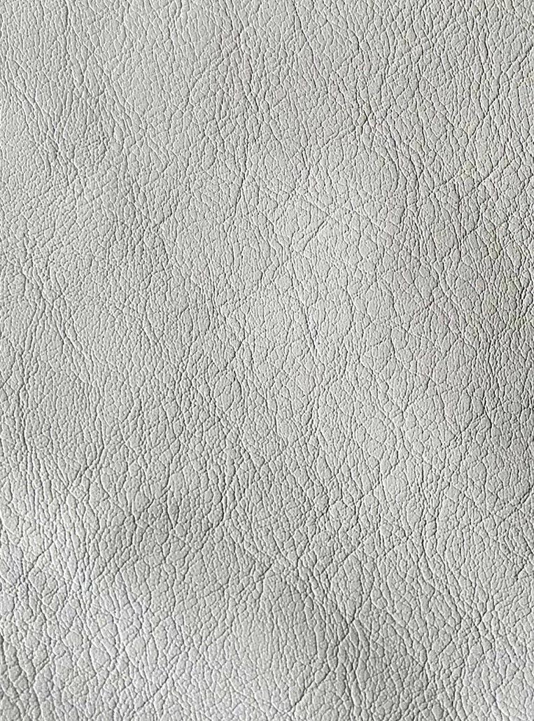 Polished Leather Jacket – JUEMI