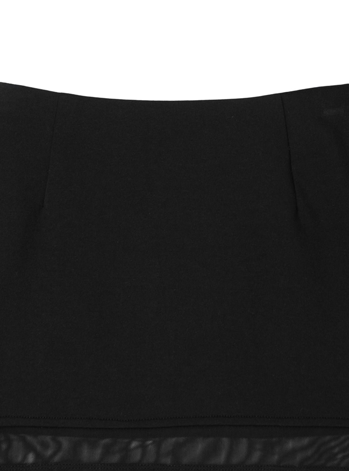 Sheer Switch Mini Skirt
