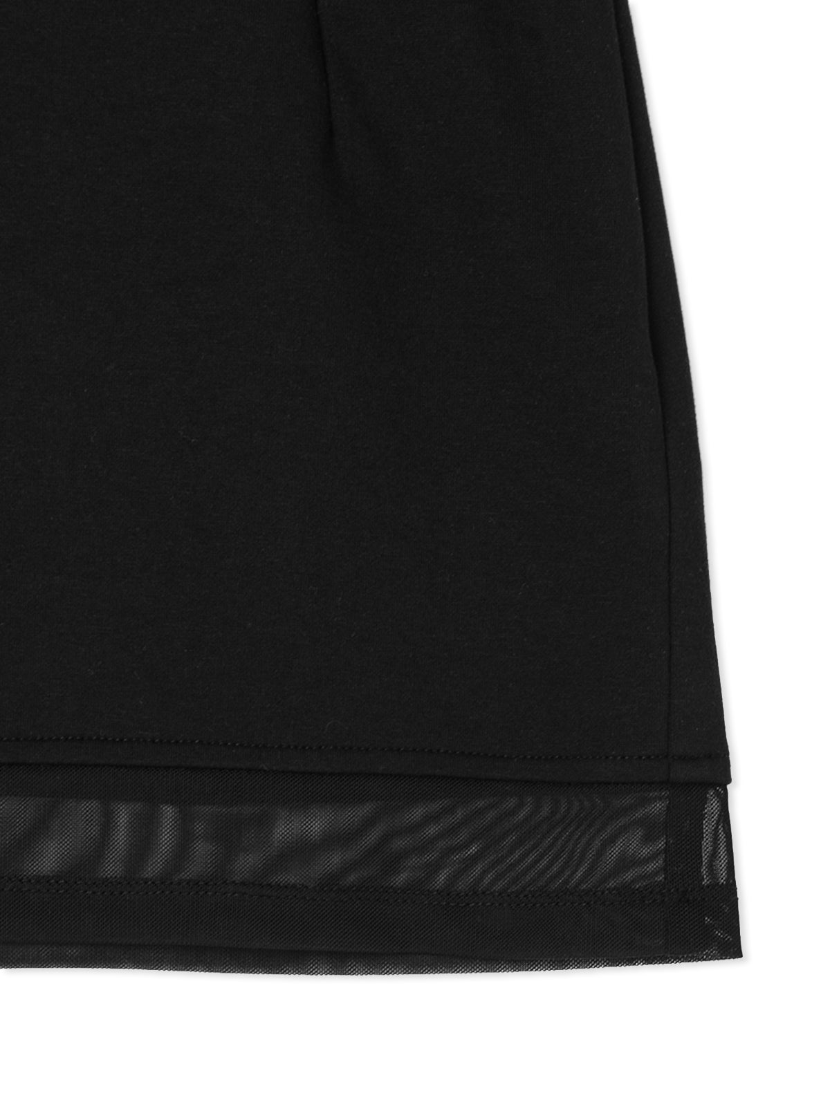 Sheer Switch Mini Skirt